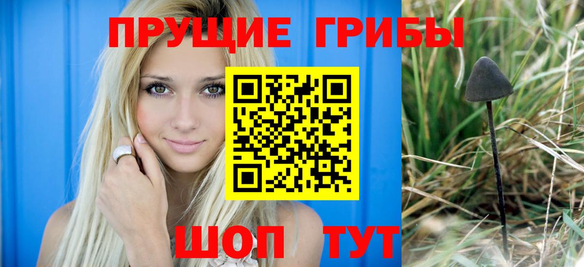 Галлюциногенные грибы мицелий  Вход с VPN  Саров 
